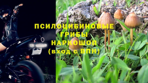 каннабис Куйбышев