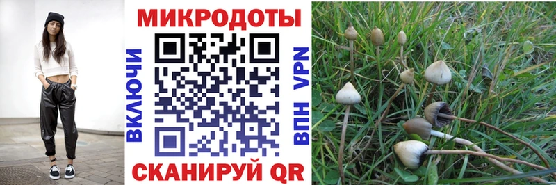 Псилоцибиновые грибы Cubensis  продажа наркотиков  Трёхгорный 